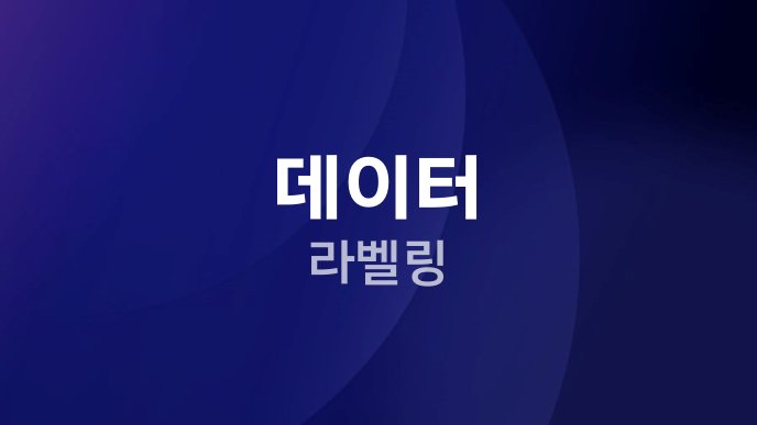 데이터 라벨링