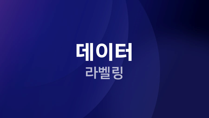 데이터 라벨링