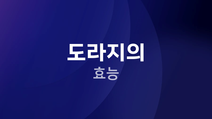 도라지의 효능