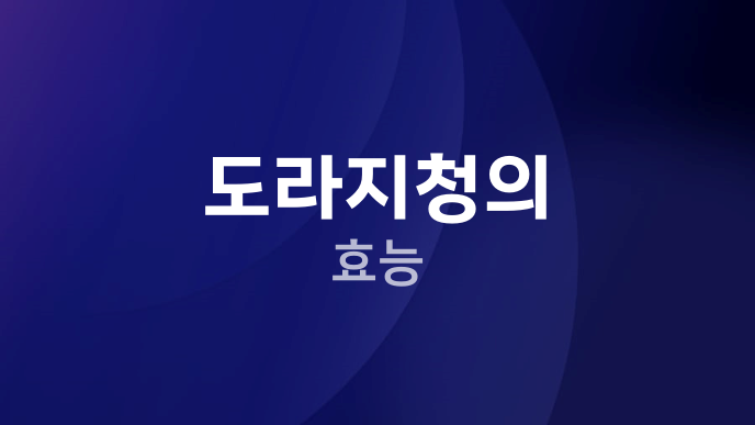 도라지청의 효능