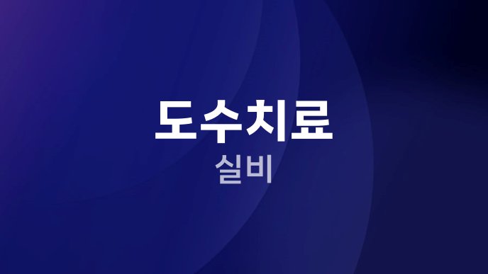 도수치료 실비