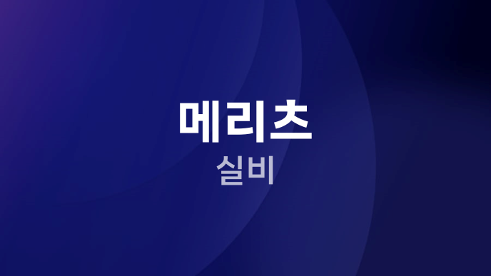 메리츠 실비