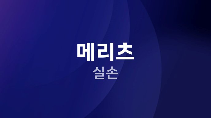 메리츠 실손