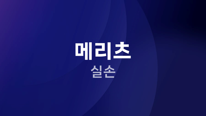 메리츠 실손