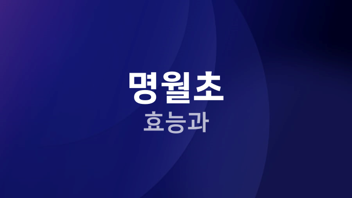 명월초 효능과