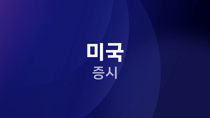 미국 증시
