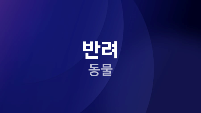 반려 동물