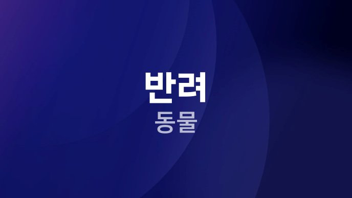반려 동물