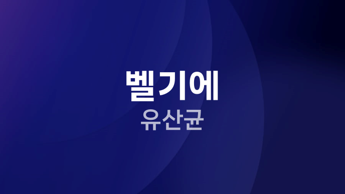 벨기에 유산균