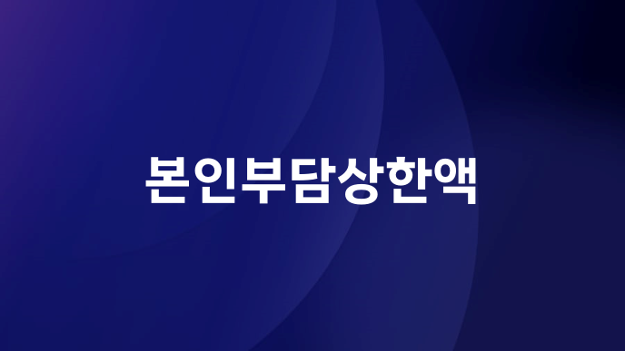 본인부담상한액