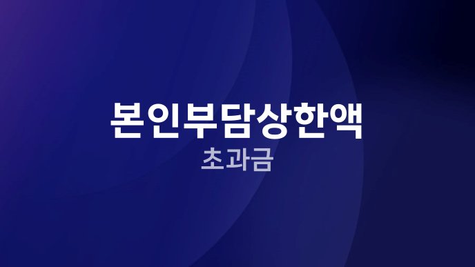 본인부담상한액 초과금