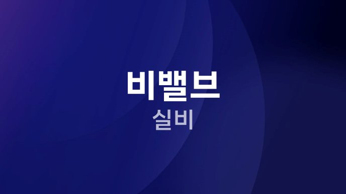 비밸브 실비