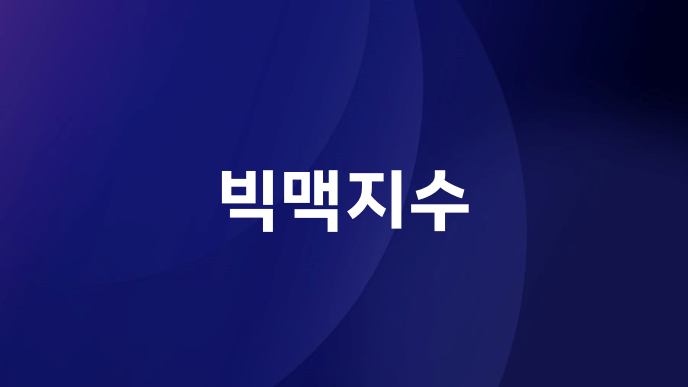빅맥지수