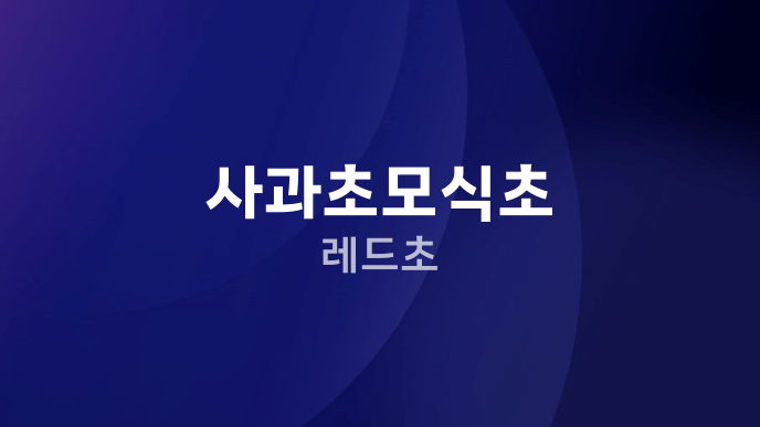 사과초모식초 레드초