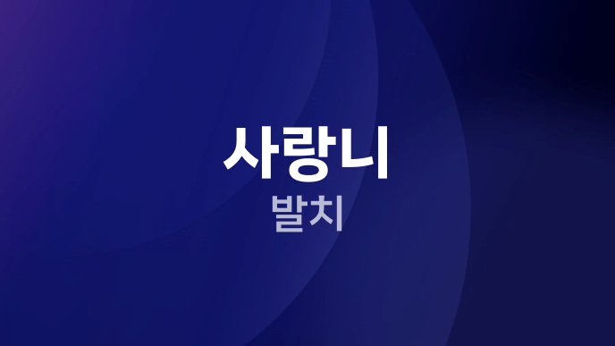 사랑니 발치