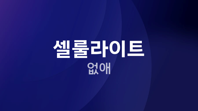 셀룰라이트 없애