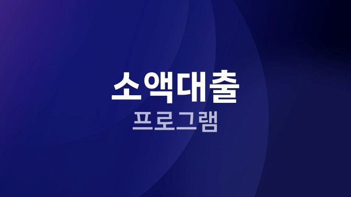 소액대출 프로그램
