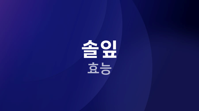 솔잎 효능