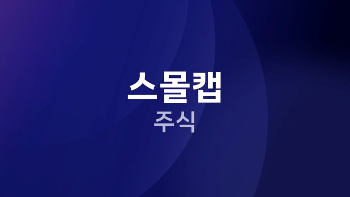스몰캡 주식