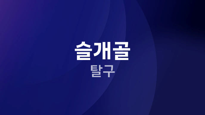 슬개골 탈구