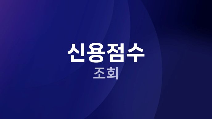 신용점수 조회
