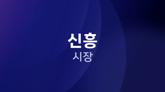 신흥 시장