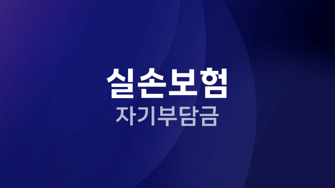 실손보험 자기부담금