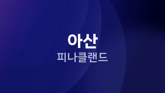 아산 피나클랜드