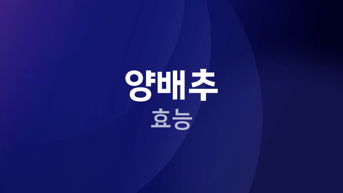 양배추 효능
