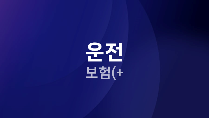 운전 보험(+