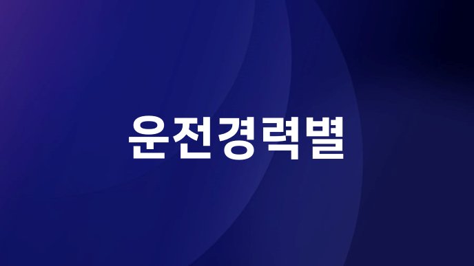 운전경력별