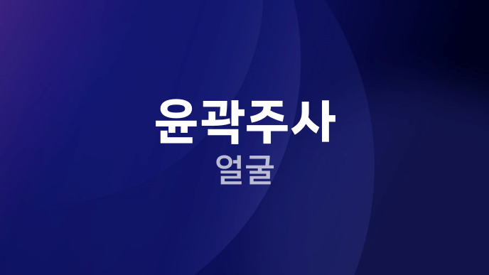 윤곽주사 얼굴