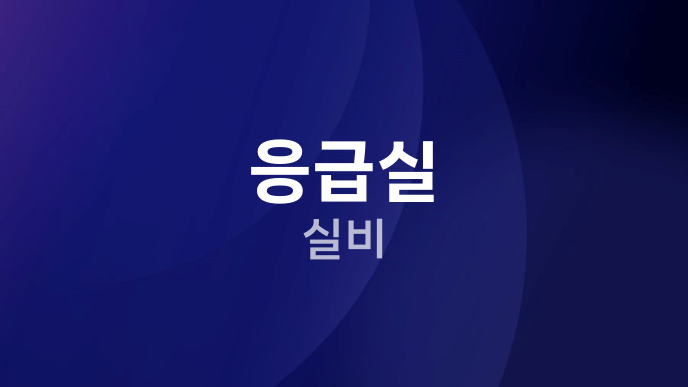 응급실 실비