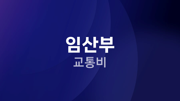 임산부 교통비