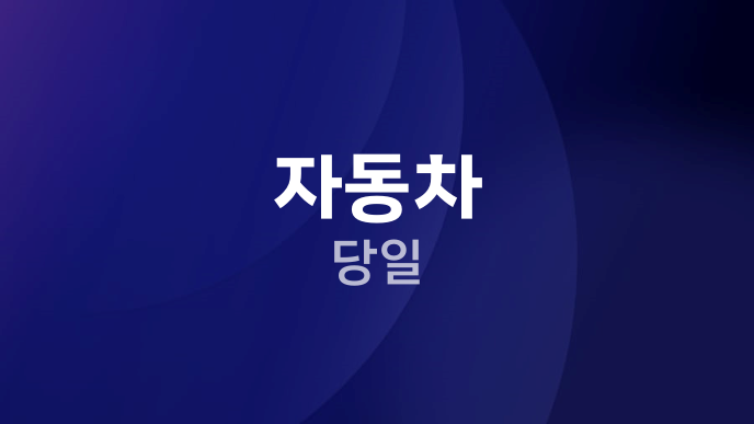 자동차 당일