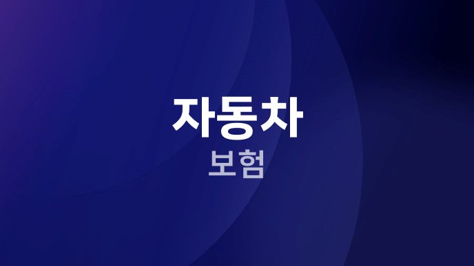 자동차 보험 29