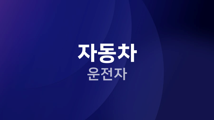 자동차 운전자