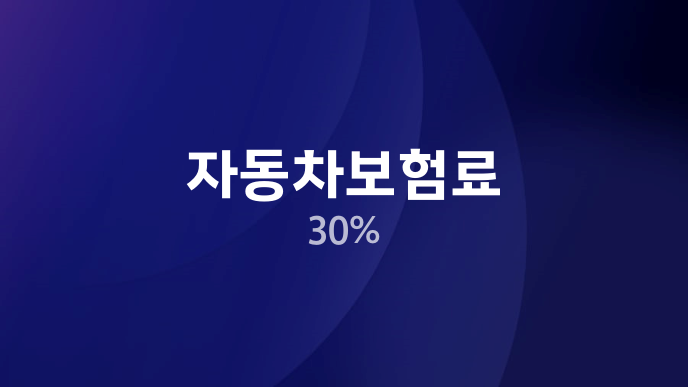 자동차보험료 30%