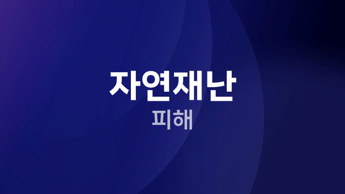 자연재난 피해
