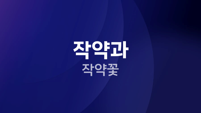 작약과 작약꽃
