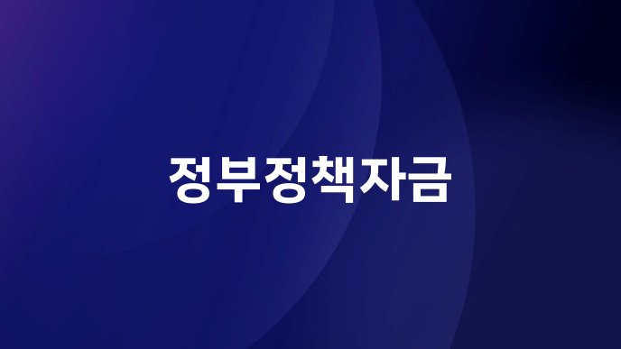 정부정책자금
