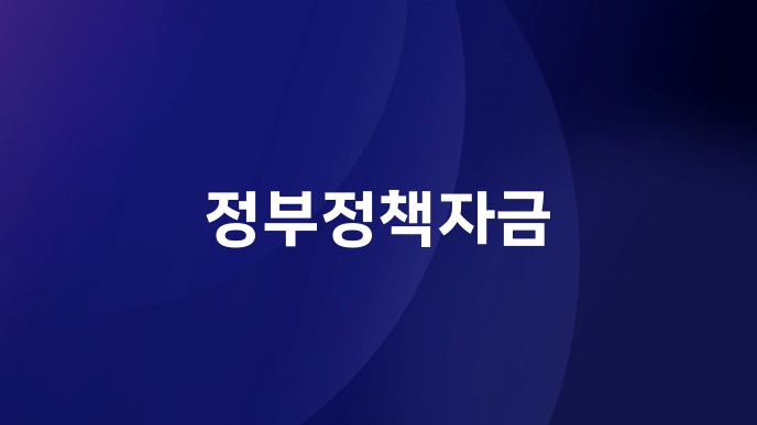 정부정책자금