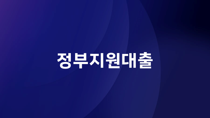 정부지원대출