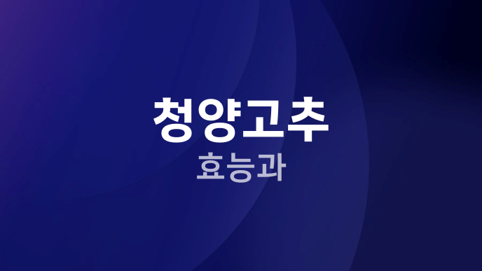 청양고추 효능과