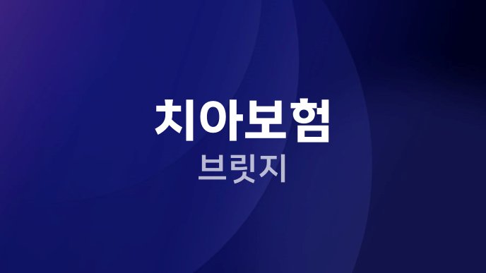 치아보험 브릿지