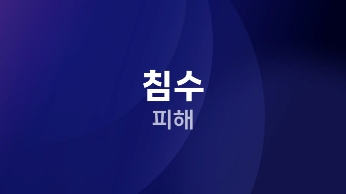 침수 피해