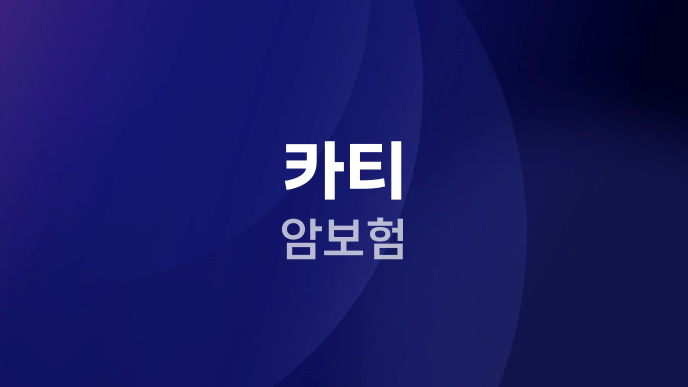 카티 암보험