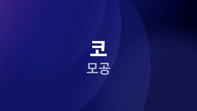 코 모공