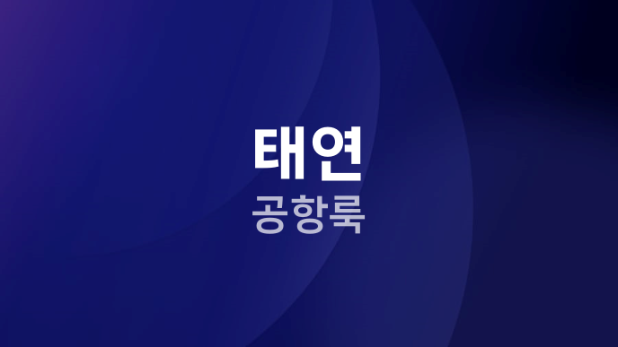 태연 공항룩