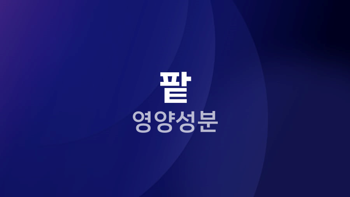 팥 영양성분